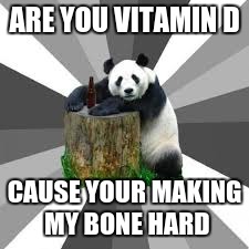 Pickup line panda meme