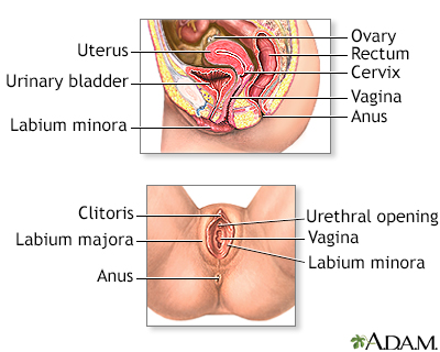 Cysts of the vagina