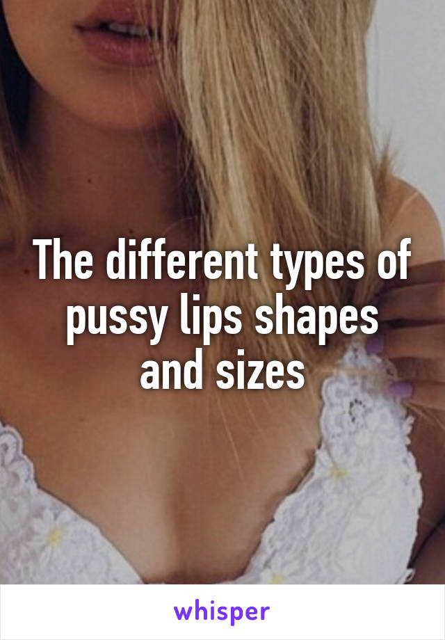 Shapes and sizes of pussies