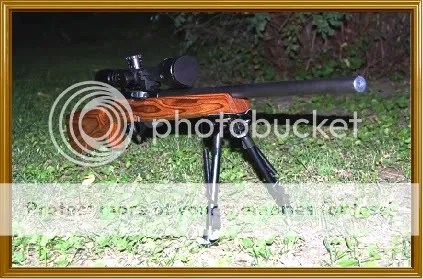 Colt match target rifle dicks