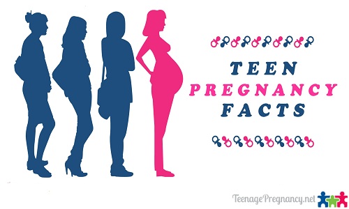 Fact myth pregnancy teen