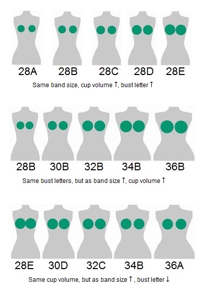 Breast e cup sizes