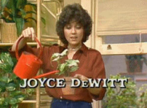 Joyce dewitt three company