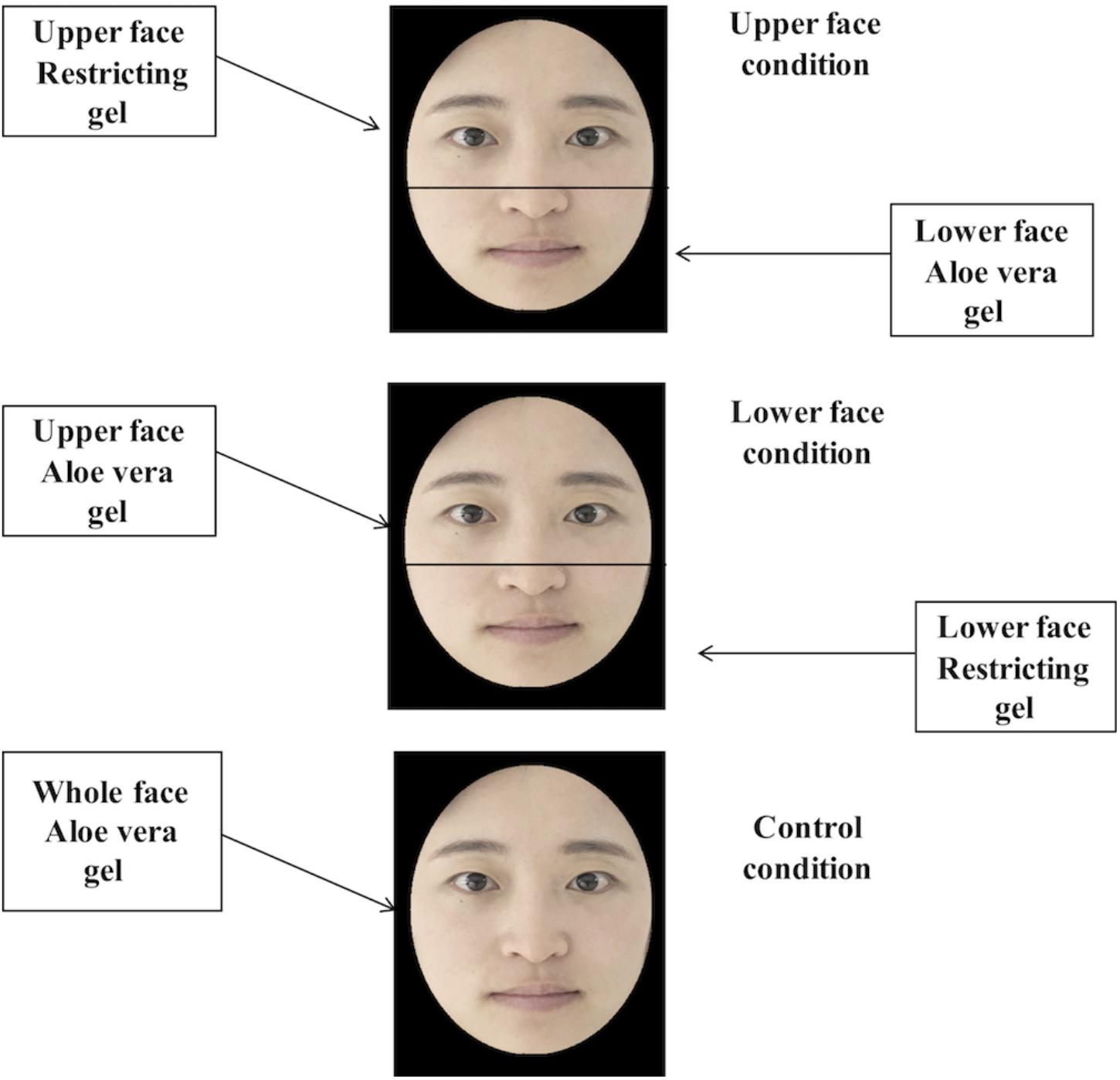 Ekmans facial feedback theory