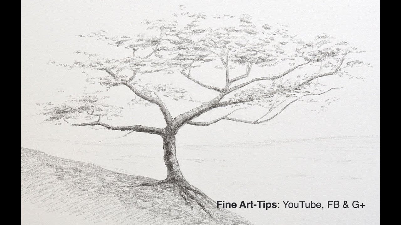 Pencil drawings people shaped trees