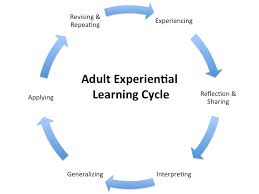 Adult design instructional learner process