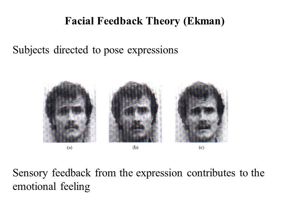 Ekmans facial feedback theory